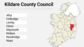 Local Elections: Kildare County Council candidate list