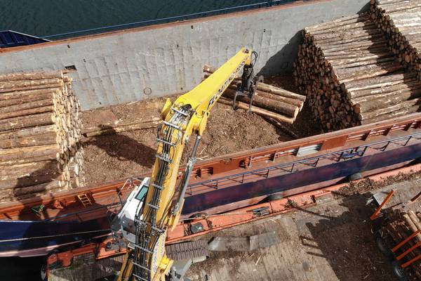 Shortage of timber set to worsen as supply of logs tightens