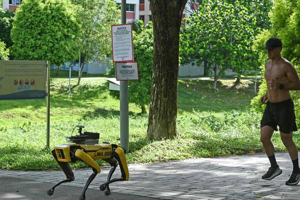 Roving robodog brings joggers to heel amid Singapore pandemic