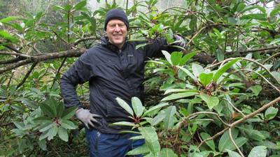 Advice from a plant hunter: ‘Have your child plant an orange seed’