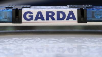 Man in his 20s dies after car falls on him in Westmeath