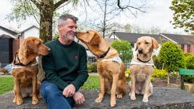 Roy Keane launches Guide Dog Day events