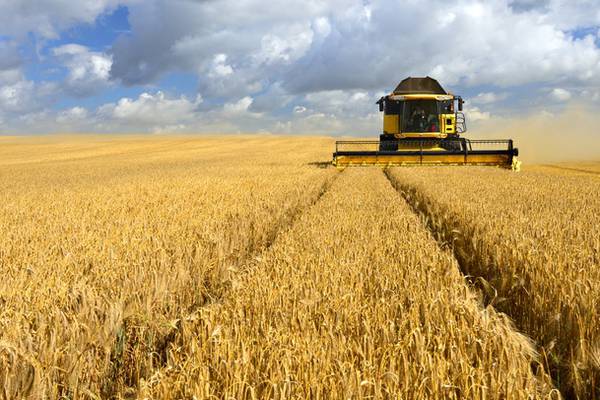 Minister to ask Irish farmers to grow grain due to wartime supply issues