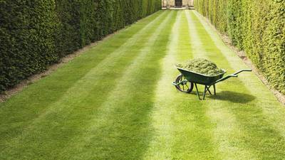 Start now to ensure velvet smooth lawn this summer