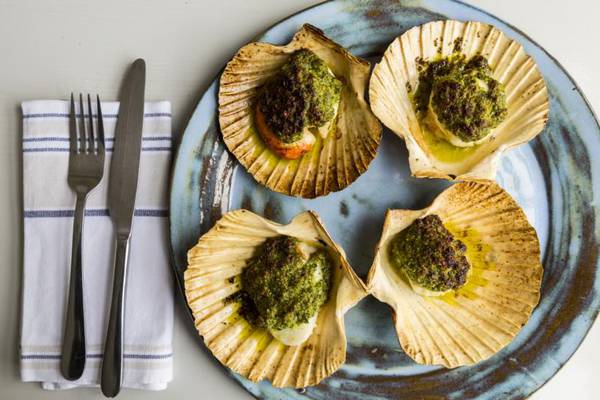 Grilled scallops with pumpkin seed, chilli and coriander sauce