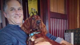 Pub allows dogs back onto premises despite HSE ban