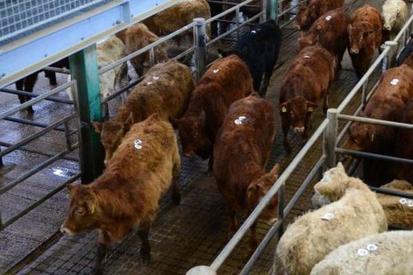 Some trading allowed at livestock marts under new measures