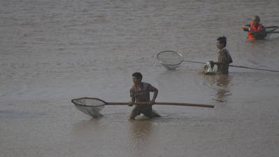 China slaps seasonal fishing ban on Yellow River due to overfishing