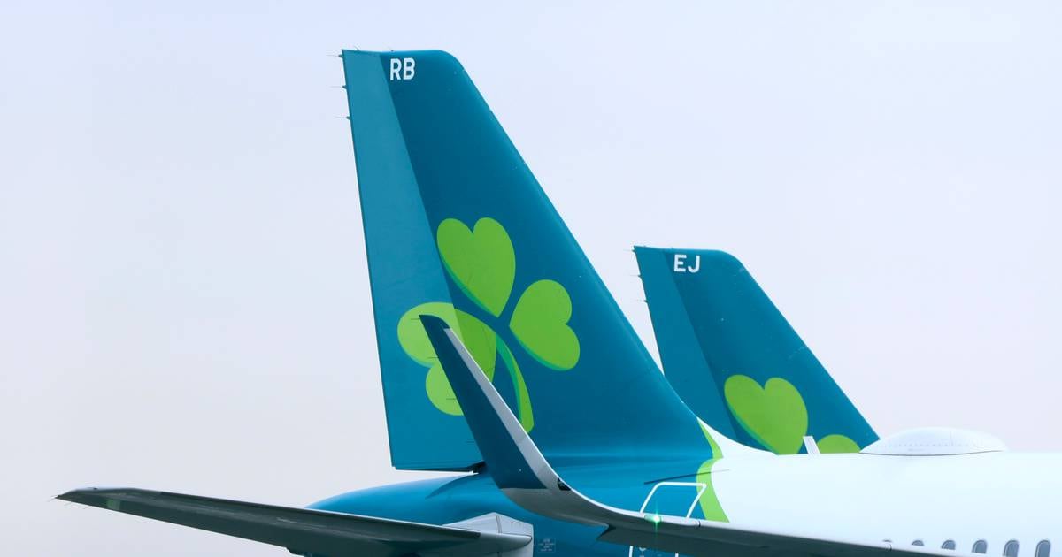 Pilots at Aer Lingus vote for industrial action as airline describes pay claim as ‘exorbitant’