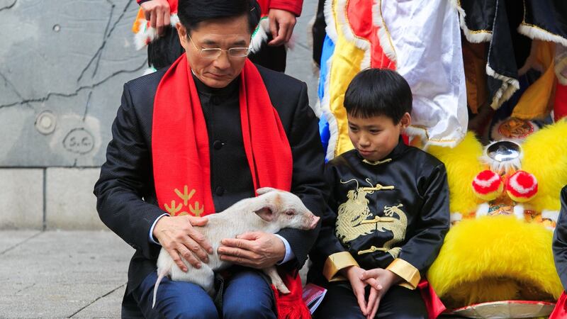 Jieyuan Liu (9) and Chinese ambassador to Ireland Yue Xiaoyong with a piglet during the launch of the programme for the Dublin Chinese New Year Festival. This year will celebrate the year of the pig. Photograph: Gareth Chaney/Collins