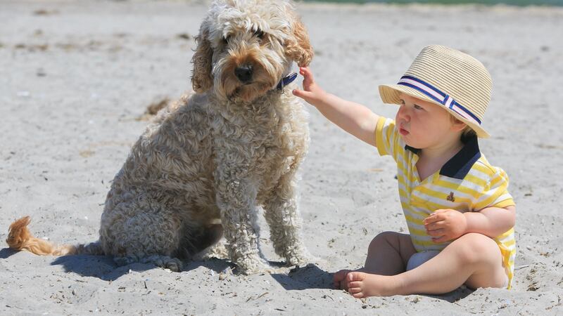 Sebastian Keogh-Jennett  (1) from Clontarf with his dog Cooper  enjoying the good weather on Dollymount Beach in Dublin. Photograph: Gareth Chaney Collins