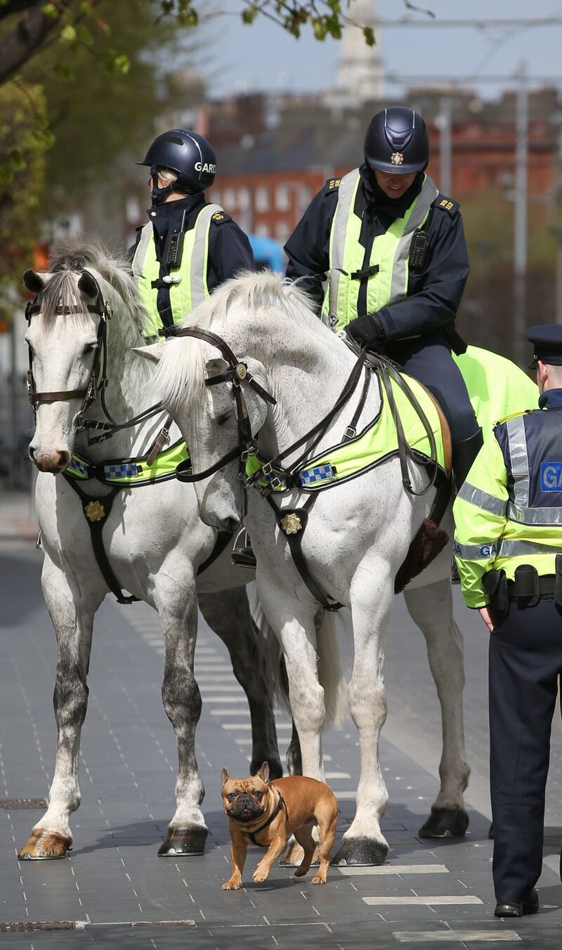 The Garda mounted division on duty on O’Connell Street, Dublin. Photograph: Nick Bradshaw/The Irish Times