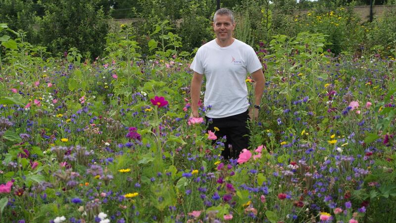 OPW gardener Brian Quinn standing in the middle of the pictorial, pollinator-friendly annual meadow sown in Ashtown walled garden earlier this summer. Photograph:  Richard Johnston