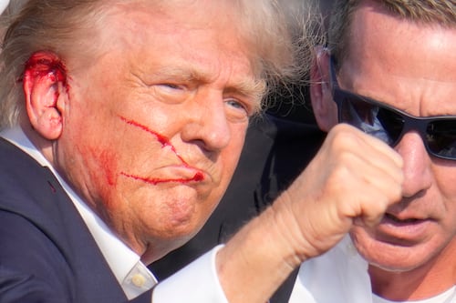Donald Trump assassination attempt: A bird’s eye view graphic