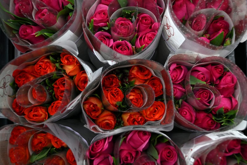 Packed flowers waiting in Bogotá, Colombia, to be exported worldwide. Photograph: Raul Arboleda/Getty