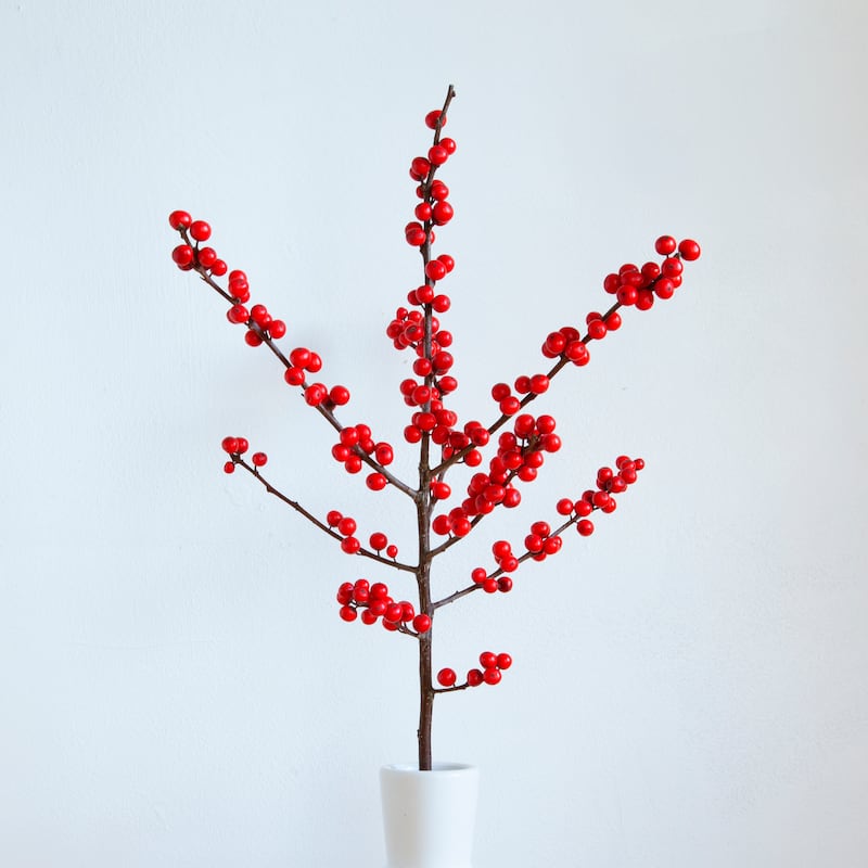 Stories from my Kitchen Table: Winterberry. Photograph: Liza Cauldwell