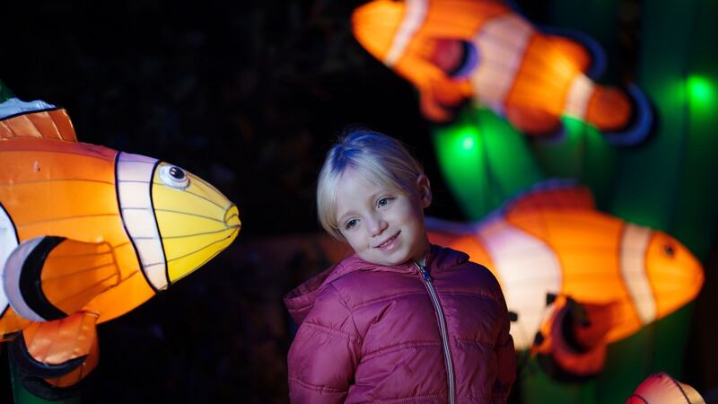 Beth Healy pictured at the display at Wild Lights in Dublin Zoo.