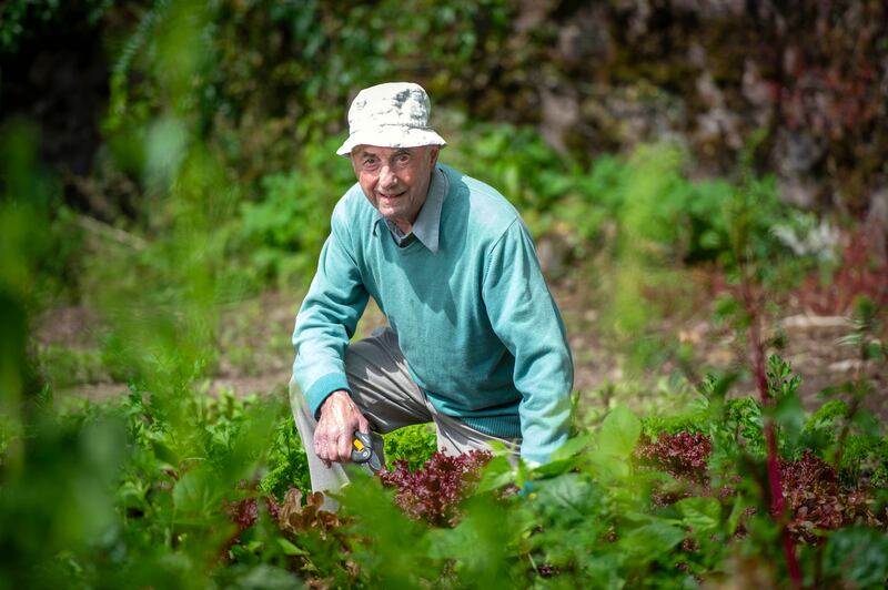 Jeremy Green in the garden at Ballyvolane House. Photograph: Michael Mac Sweeney/Provision