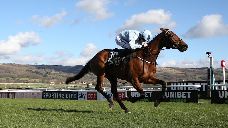 Honeysuckle en-route to victory in the Champion Hurdle at Cheltenham. Photograph: Michael Steele/Getty