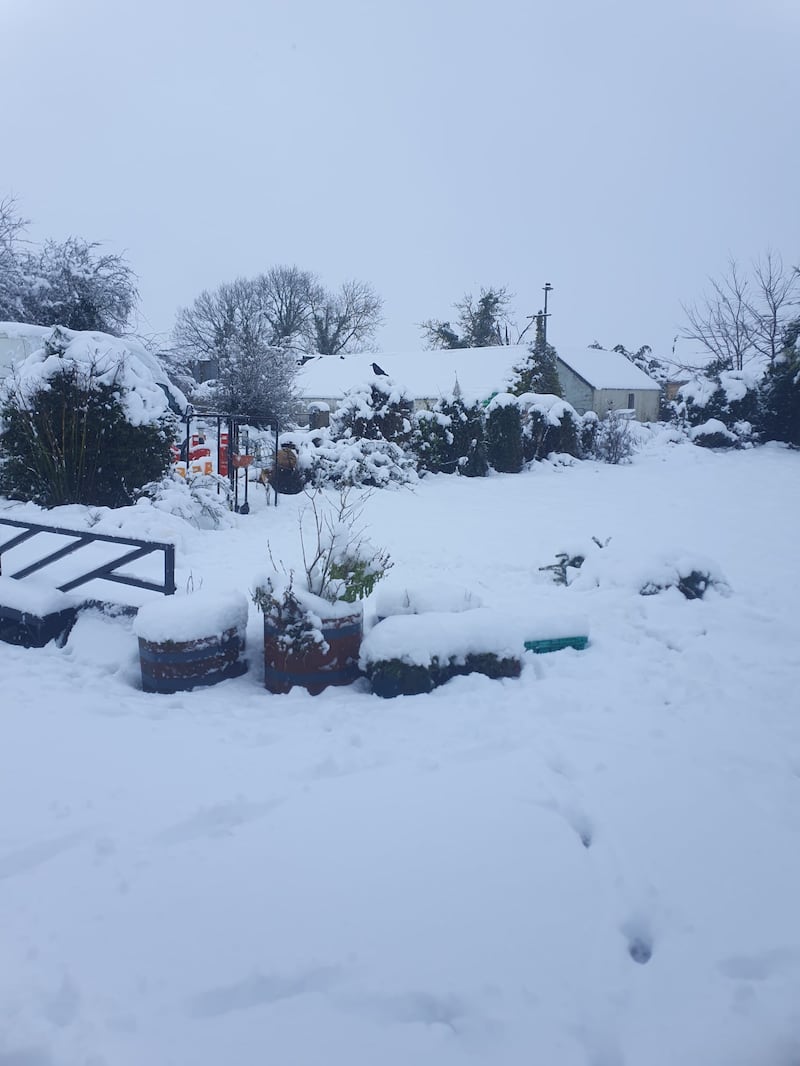 Snow in Charleville, Co Cork, on January 5th. Photograph: Ian Doyle