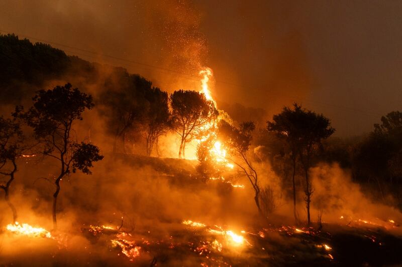 A forest fire in the village of Dikela, near Alexandroupolis, in northeastern Greece. Photograph: Achilleas Chiras/AP