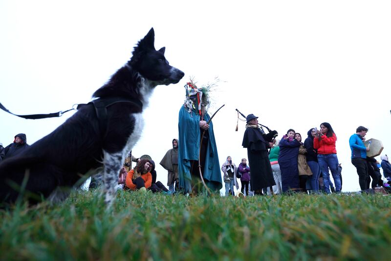 A canine companion with visitors to the Hill of Tara on Wednesday morning. Photograph: Alan Betson/The Irish Times

