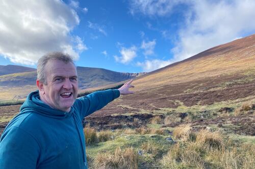 Russ Parsons: Lamb that tastes of the Irish mountainside on which it is reared