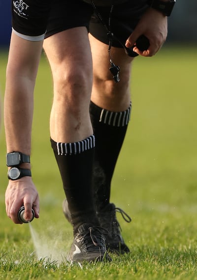 Referee views have been taken into account. Photograph: James Crombie/Inpho