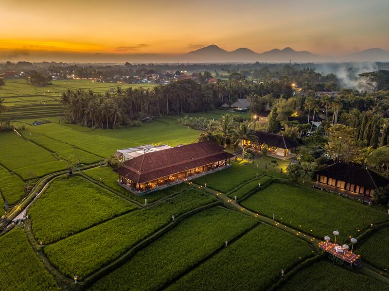 The hotel sits near the 9th century Goa Gajah or Elephant Cave and ornate sculptures of elephants dot the entranceway