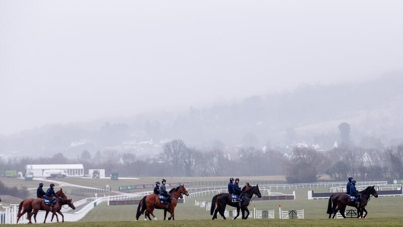 Gordon Elliott’s string at Prestbury Park. Photograph: James Crombie/Inpho