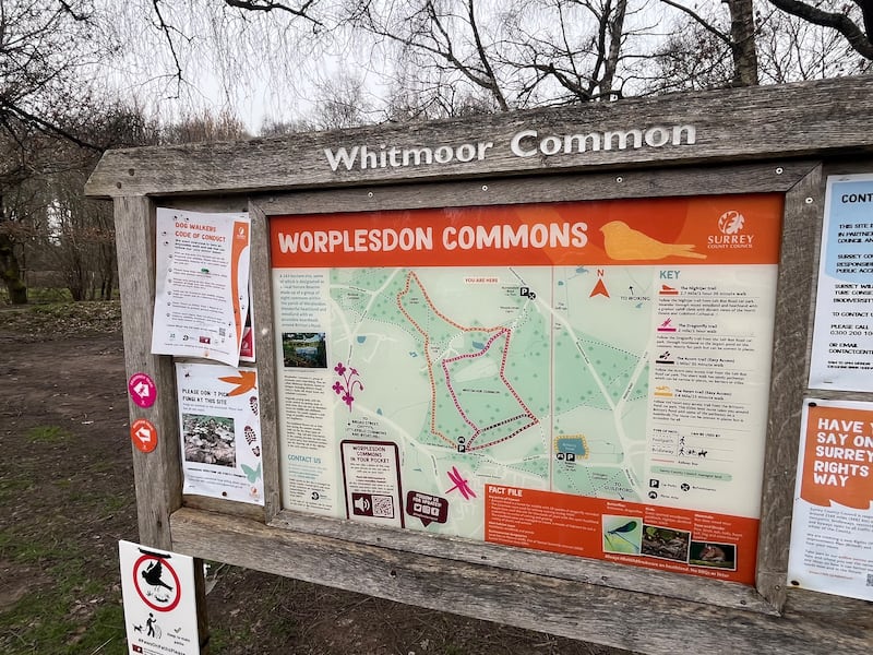 Whitmoor Common near Freddie Scappaticci's former home in Guildford, where the late British Army double agent frequently walked his dog