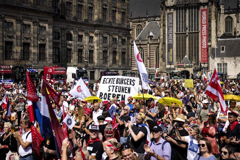 Demonstrators attend a rally of the Netherlands In Resistance group sympathisers to support farmers, fishermen and truckers, on Dam Square in Amsterdam last year. Photograph: Ramon Van Flymen/AFP