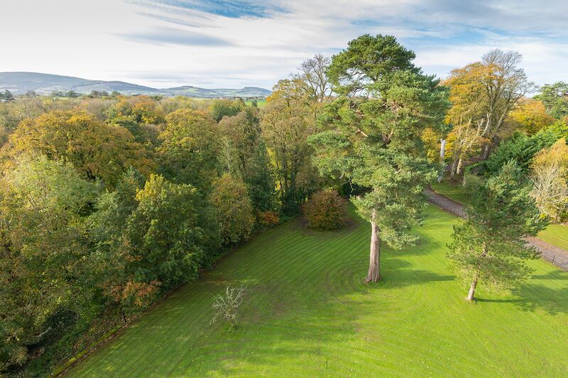 Native woodlands surround the property