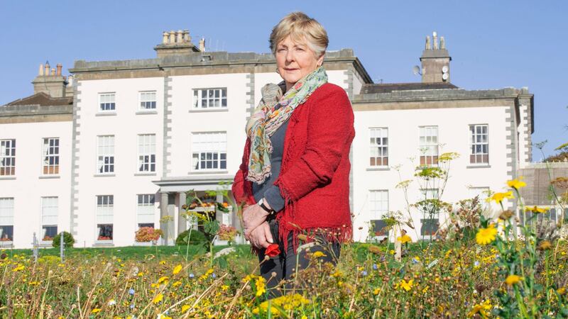 Jane O’Callaghan, owner of Longueville House,  at Longueville, Ballyclough, Mallow, Co Cork. Photograph: Daragh Mc Sweeney/ Provision