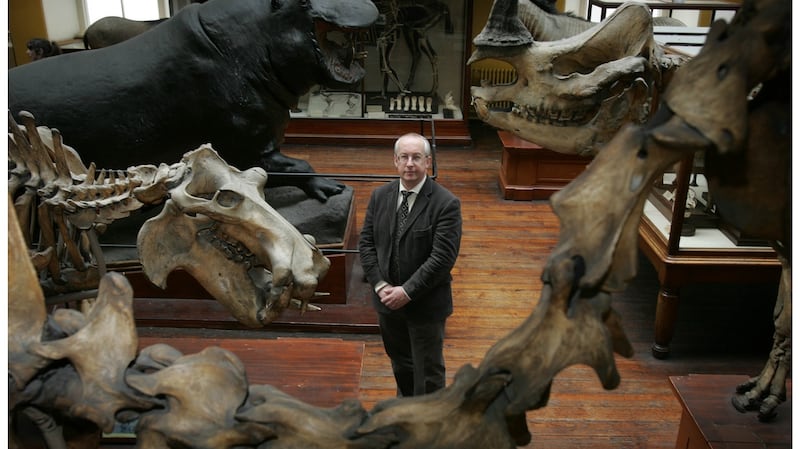 Nigel Monaghan, Keeper Natural History Division National Museum of Ireland. Photograph: Alan Betson