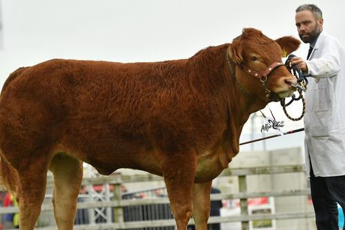 North’s farmers feel caught in crosshairs of ‘nonsense’ protocol rules