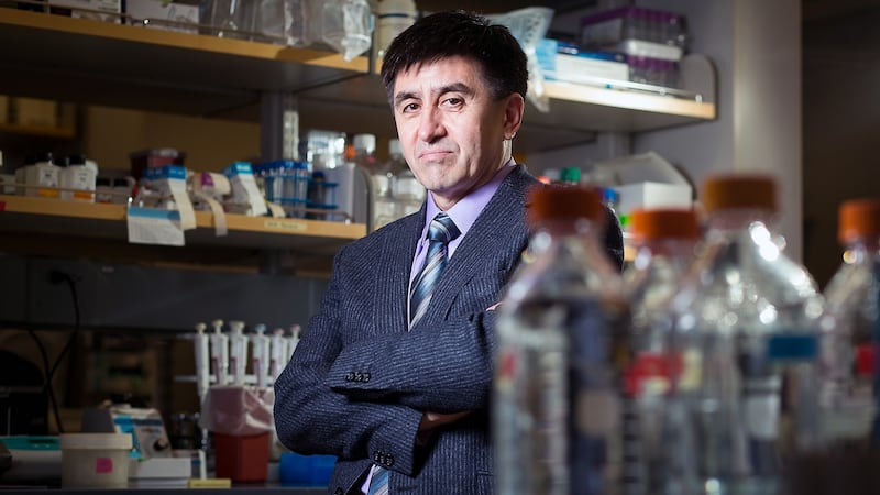 Shoukhrat Mitalipov, director of the Center for Embryonic Cell and Gene Therapy at Oregon Health and Science University. Photograph: Leah Nash/The New York Times