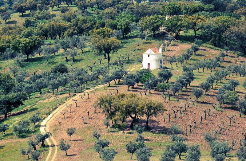 When I entered the hilly dry lands of the Alentejo region, south of Lisbon, the climate was noticeably drier. Photograph: Getty Images