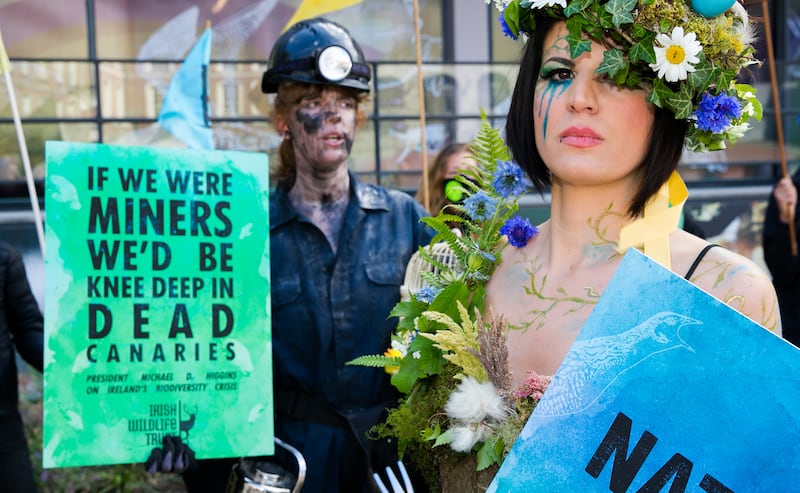 Demonstrators  Ceara Carney and Eadaoin Heussaff  during a protest by Extinction Rebellion and Irish Wildlife Trust outside the National Diversity Conference at Dublin Castle, Dublin. Photograph: Gareth Chaney/Collins Photos