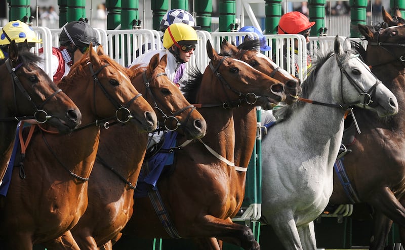 Hollow Green and Cathy Gannon (yellow cap, centre) at Windsor Racecourse, England, in 2010. Photograph: Alan Crowhurst/ Getty Images