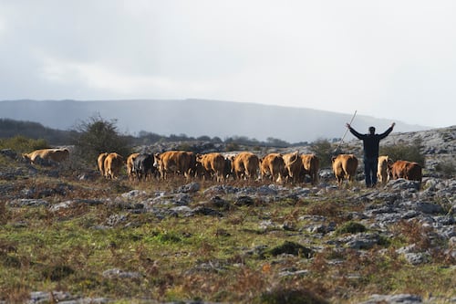 The Burren provides one of the world’s most profound lessons