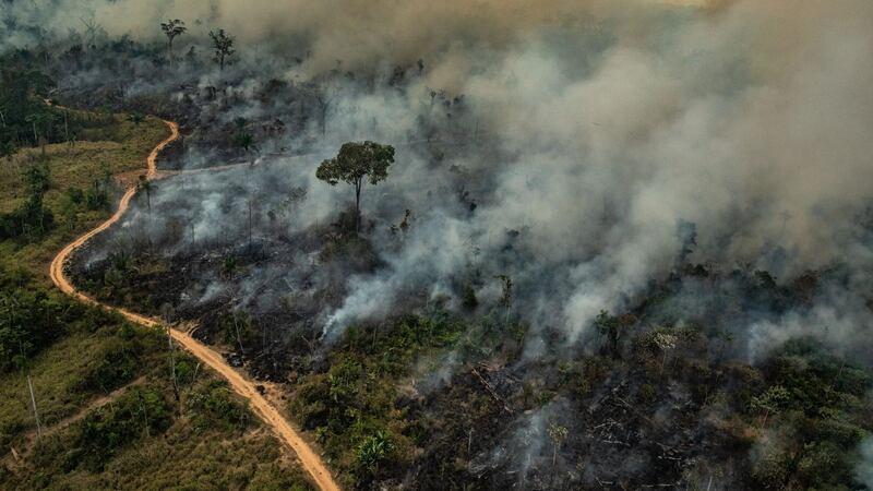 Handout aerial picture released by Greenpeace showing smoke billowing from fires  in the Amazon biome in the municipality of Altamira, Brazil. Photograph: Victor Moriyama/Greenpeace/AFP/Getty Images