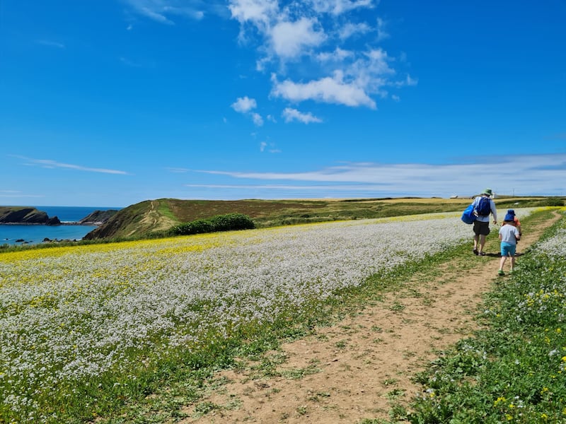 Hike down to Marloes Sands beach, through a wildflower meadow, on the western edge of Pembrokeshire. Joanne Hunt and family