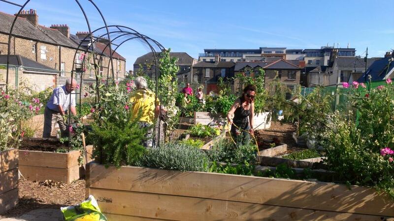 Mud Island Community Garden in Dublin