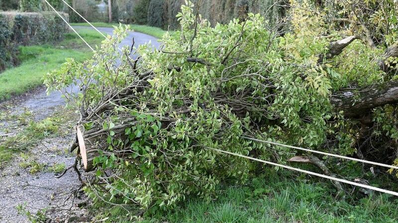 ESB Networks says around 15,000 customers remain without power after Ophelia. Image: ESB via Twitter