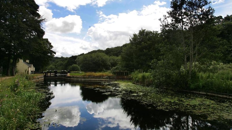 The Barrow trail, Co Carlow