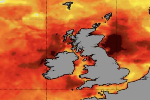 Hot water: why the marine heatwave on Ireland’s coasts signals danger