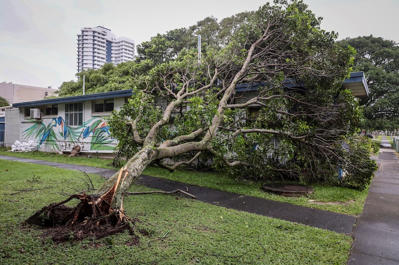 Violent winds toppled power lines in Coolangatta Cyclone Alfred inched towards Australia's eastern coast. Photograph: David Gray/AFP