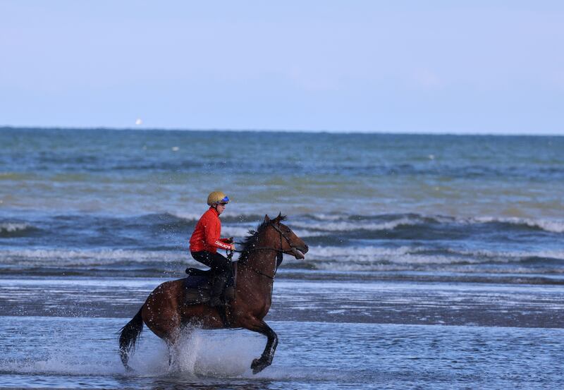 A jockey and their horse splashes in the waters of Laytown Beach. Photograph: Dara Mac Dónaill/The Irish Times