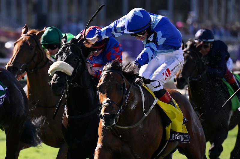 Magnum Force, ridden by Colin Keane, wins the Breeders' Cup Juvenile Turf Sprint at Del Mar. Photo by Orlando Ramirez/Getty Images)